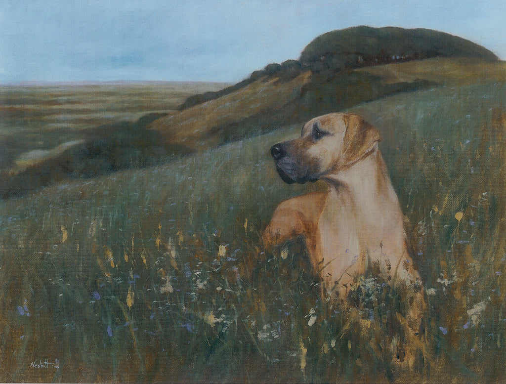 Hilltop View Print