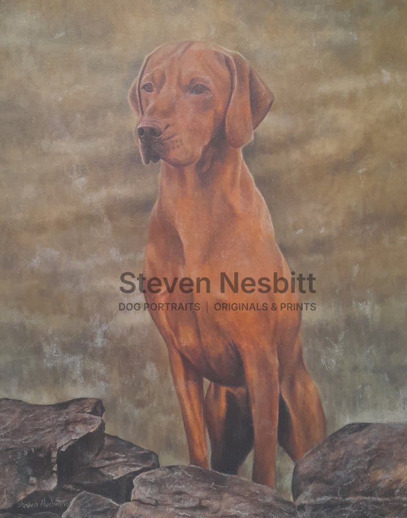Vizsla on the Wall Original Painting