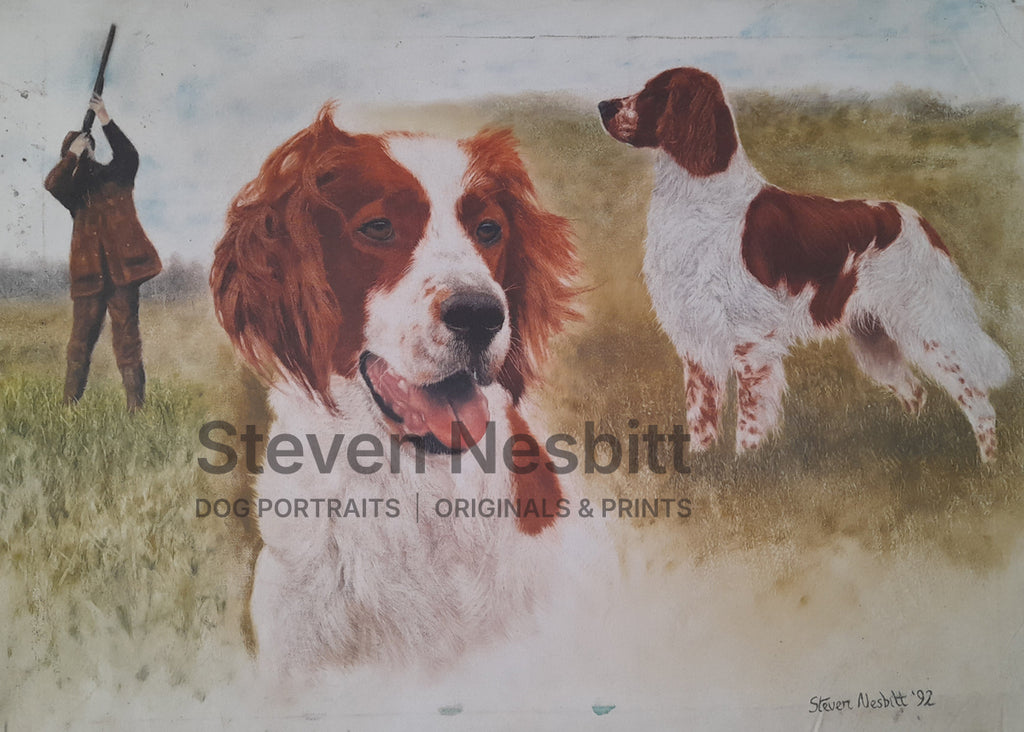 The Irish Red and White Setter Original Painting