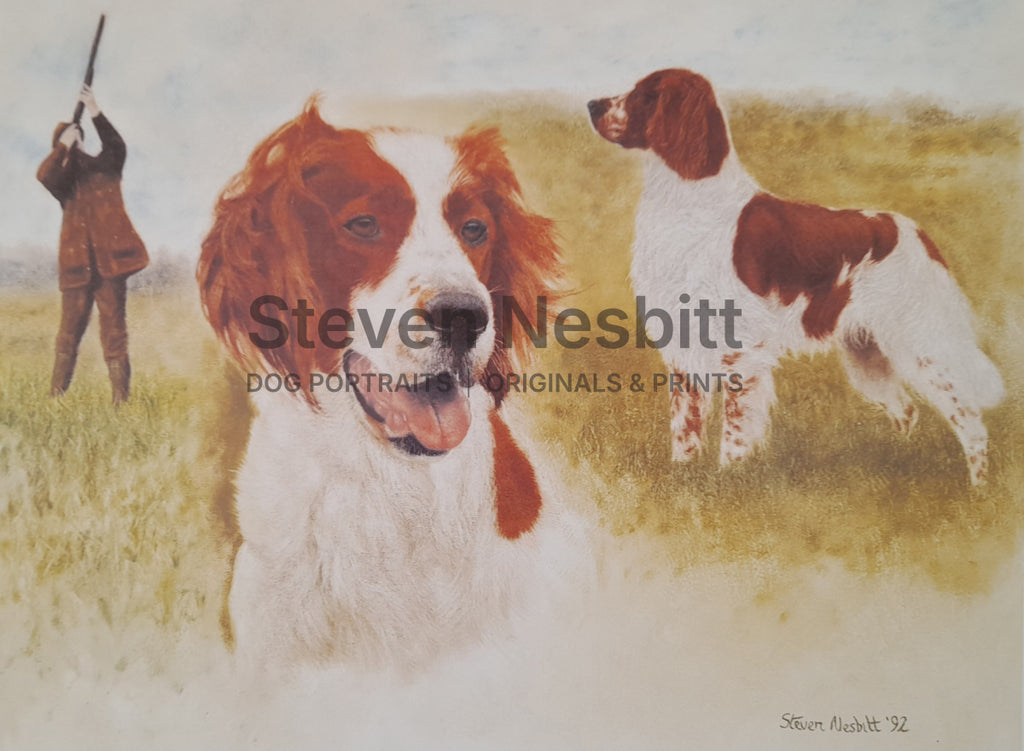 The Irish Red and White Setter Print