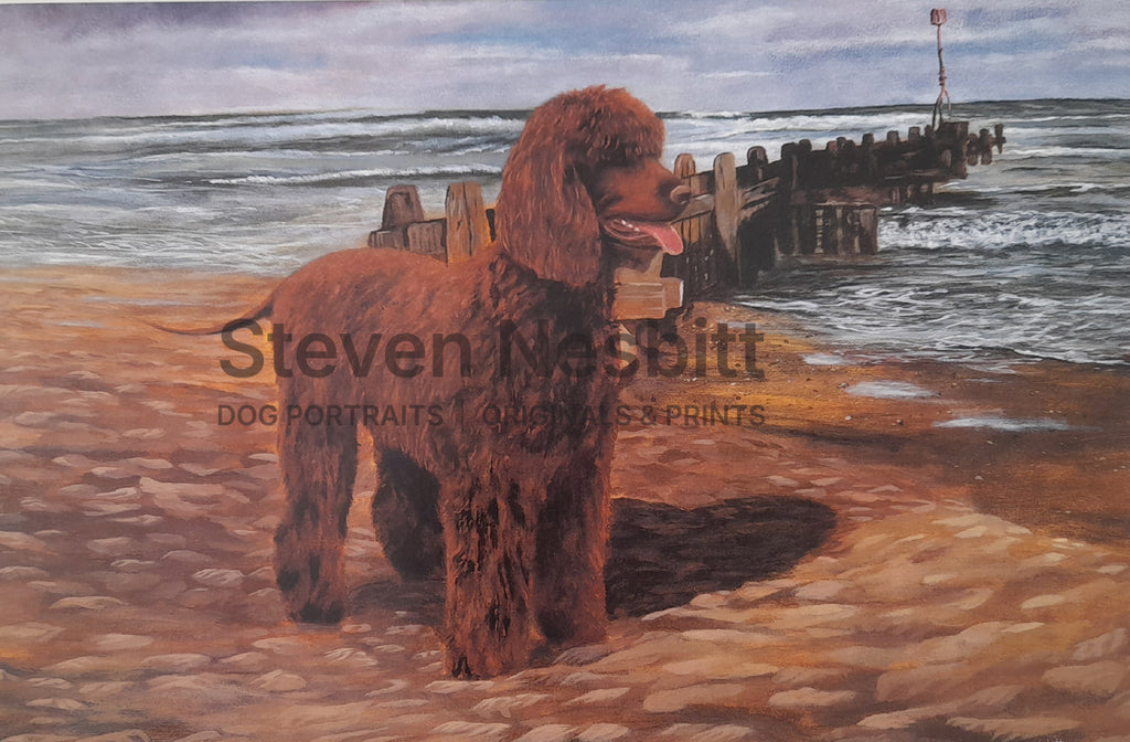 On the Beach Print