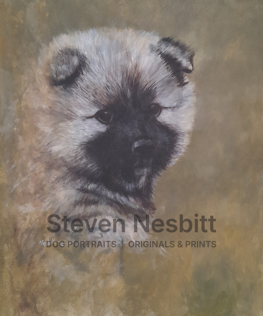 Keeshond Pup Original Painting