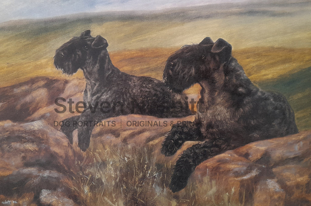 Rocky Outcrop Print