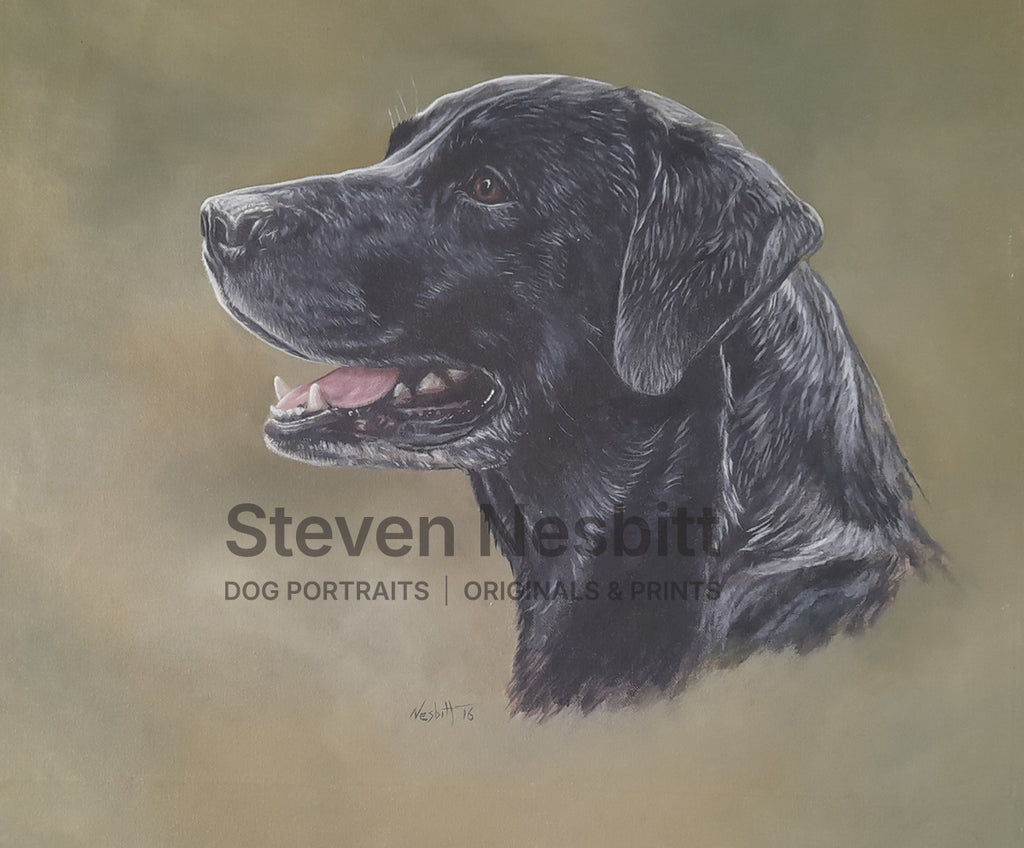 Black Labrador Head Original Painting