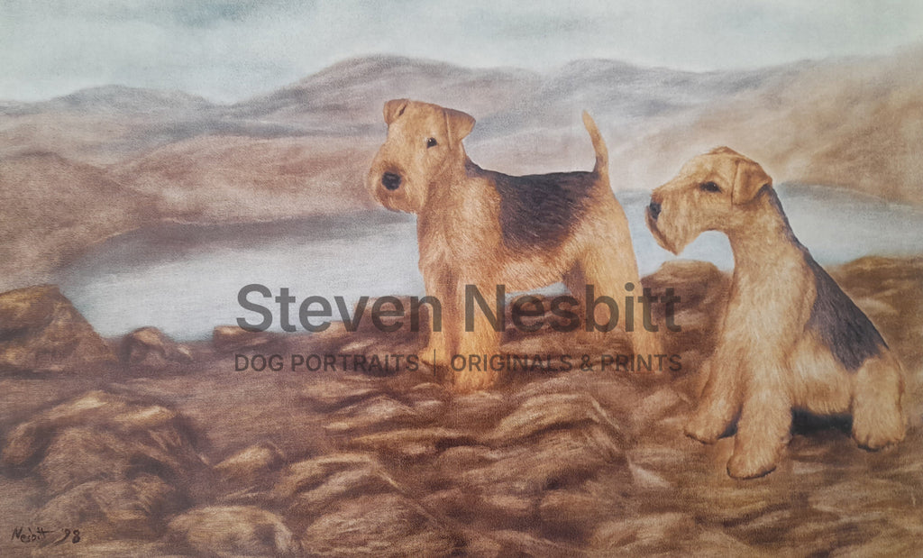 Lakeland Terriers Print