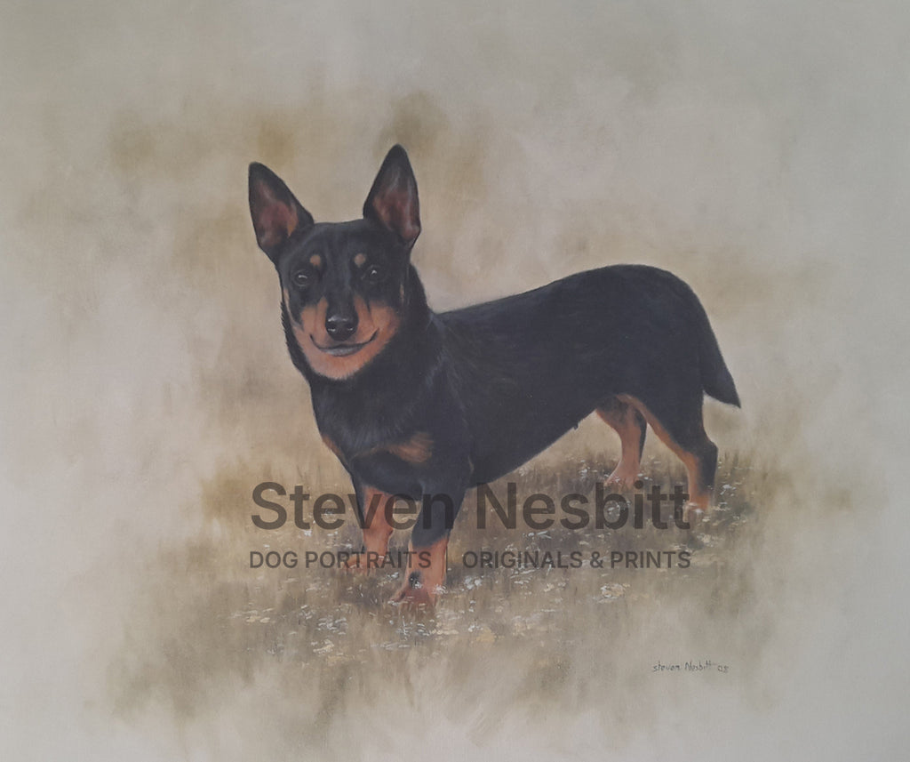 Lancashire Heeler Amongst the Daises Original Painting
