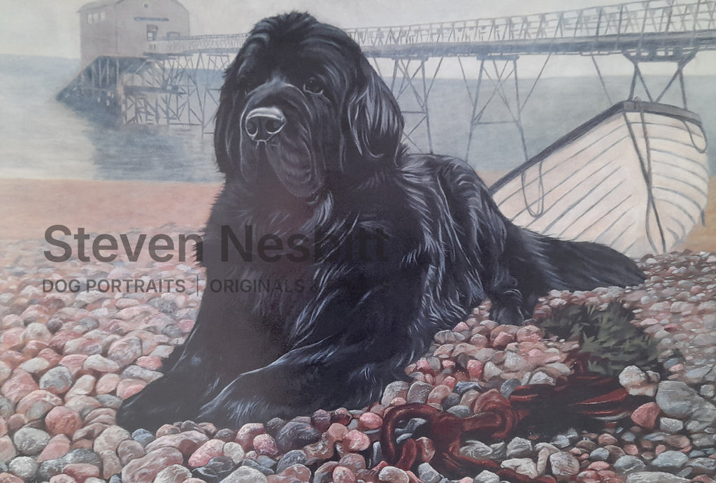 Coastguard Print