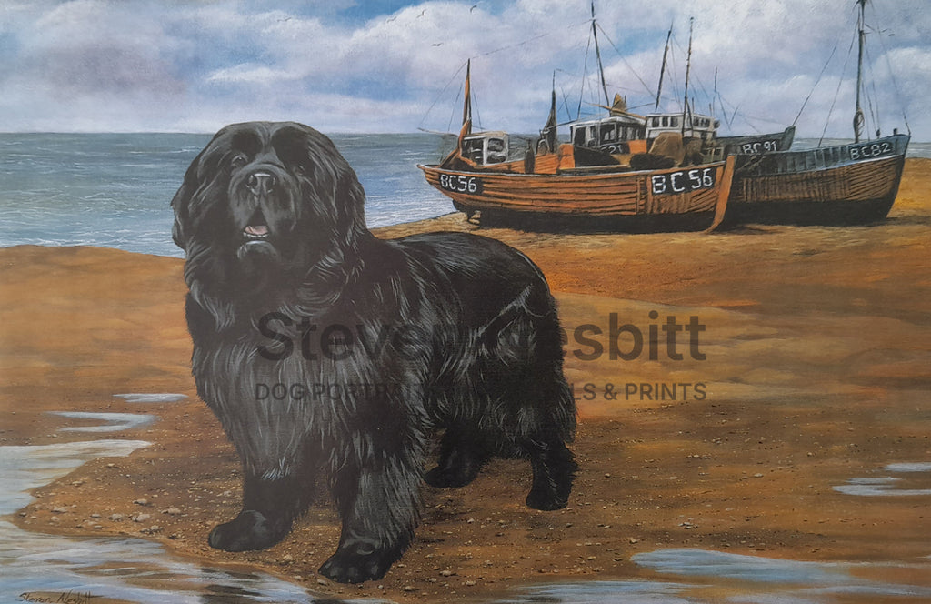 Low Tide Print