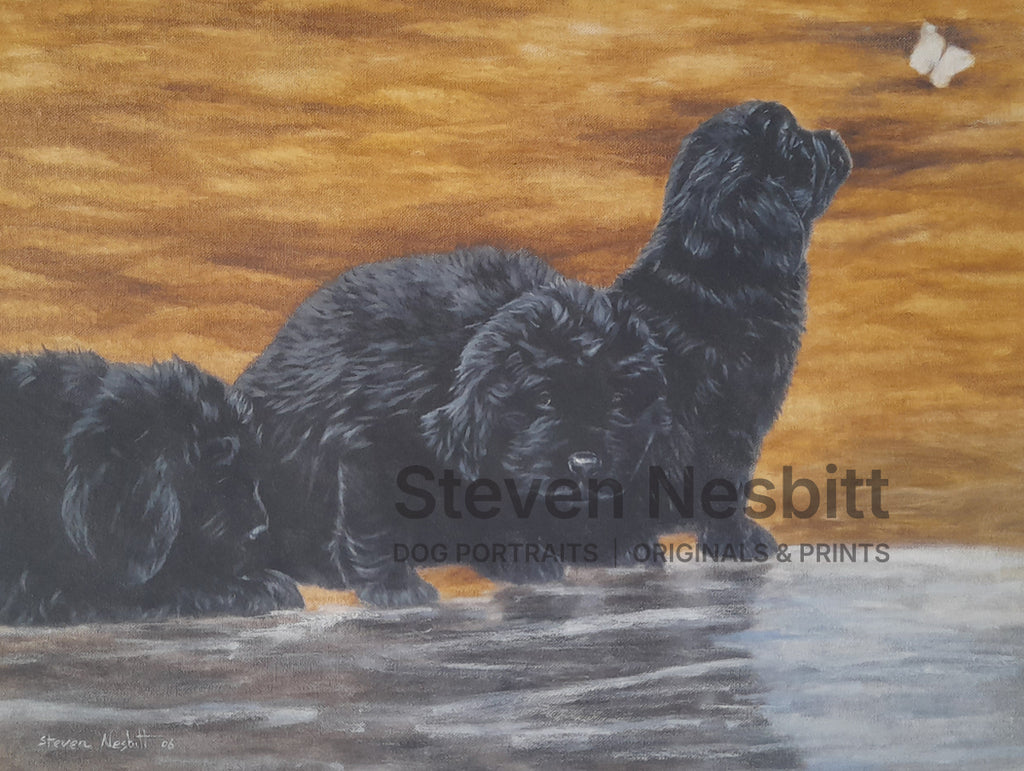 Curious Pups Original Painting