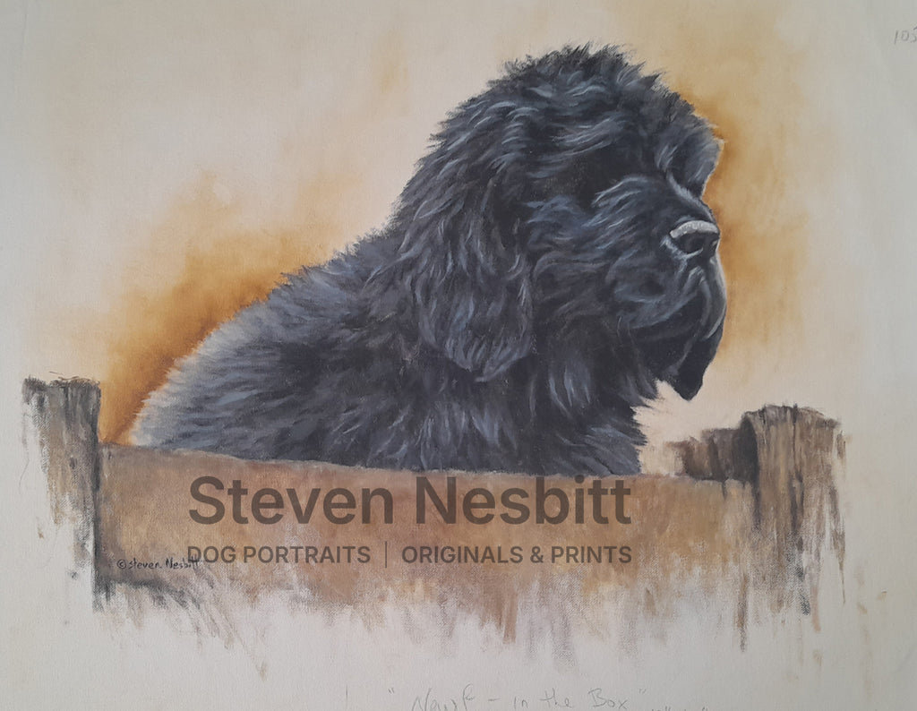 Newf in the Box Original Painting