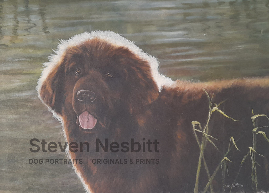 Ready for the Plunge Original Painting