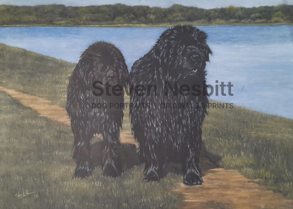 Newfoundland Pair Original Painting