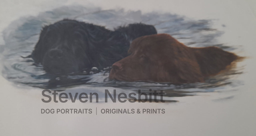 Newfoundland Pair Swimming Original Painting