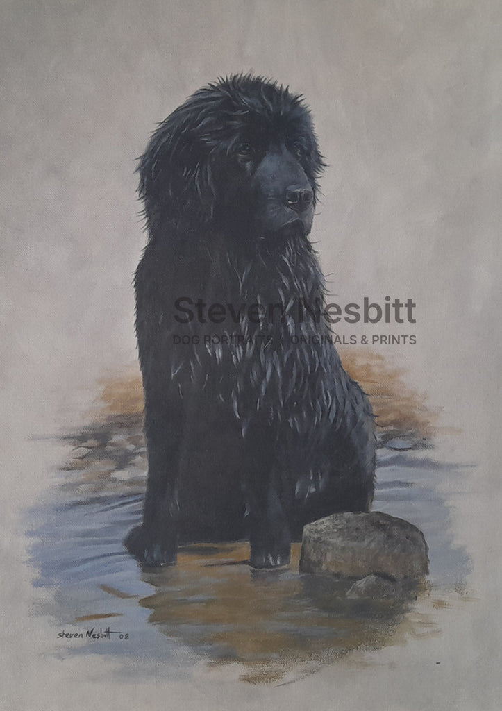 Sitting in Water Original Painting