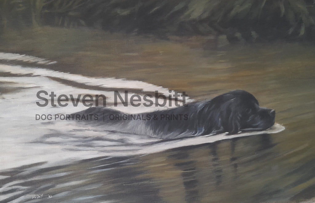 Swimming Newf Original Painting