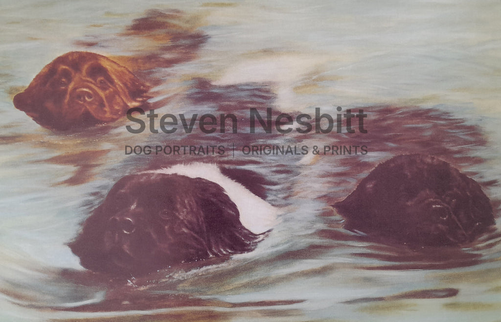 Waterbabies Print