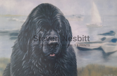 Waterfront Visitor Print