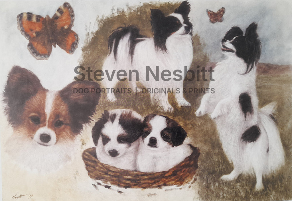 Papillon Sketches Print