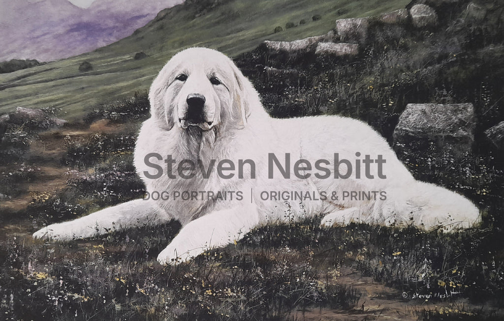 Pyrenean Print
