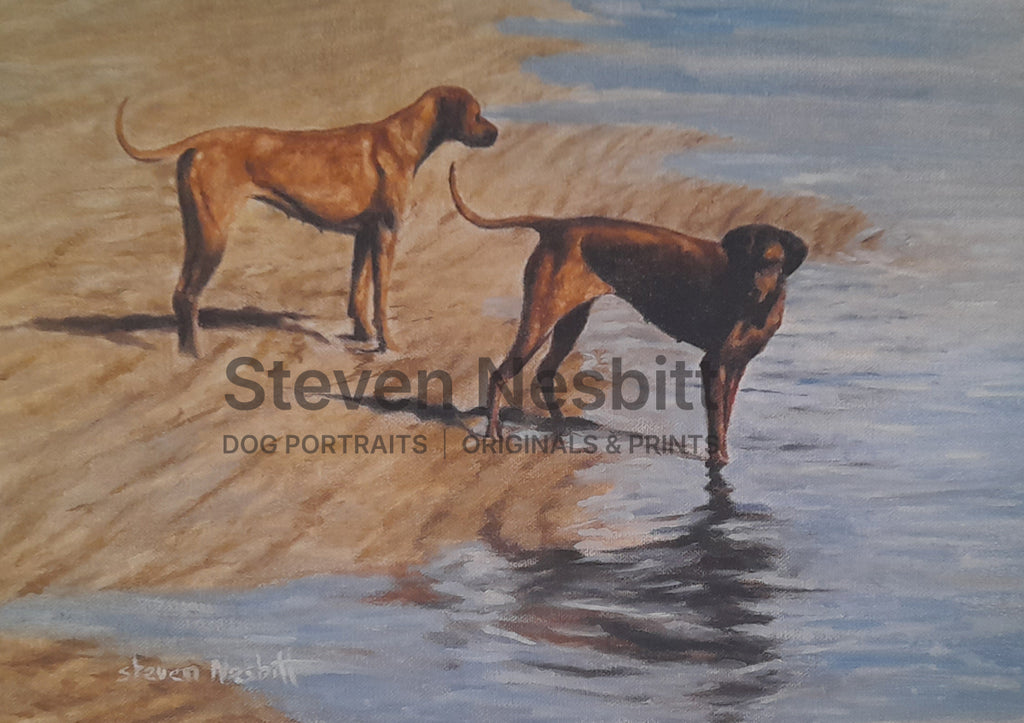 Ridgebacks in Water Original Painting