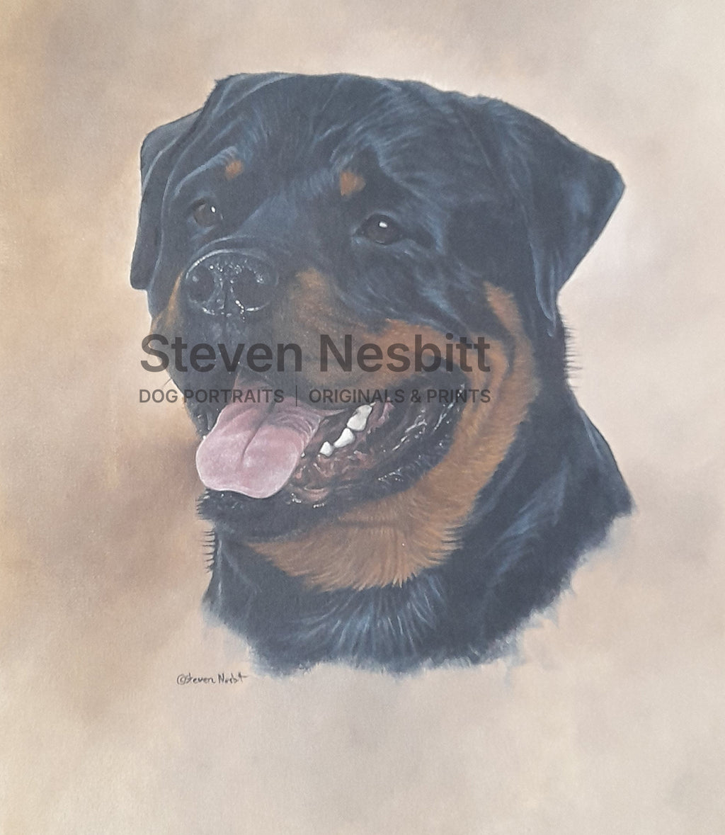 Rottie Study Original Painting
