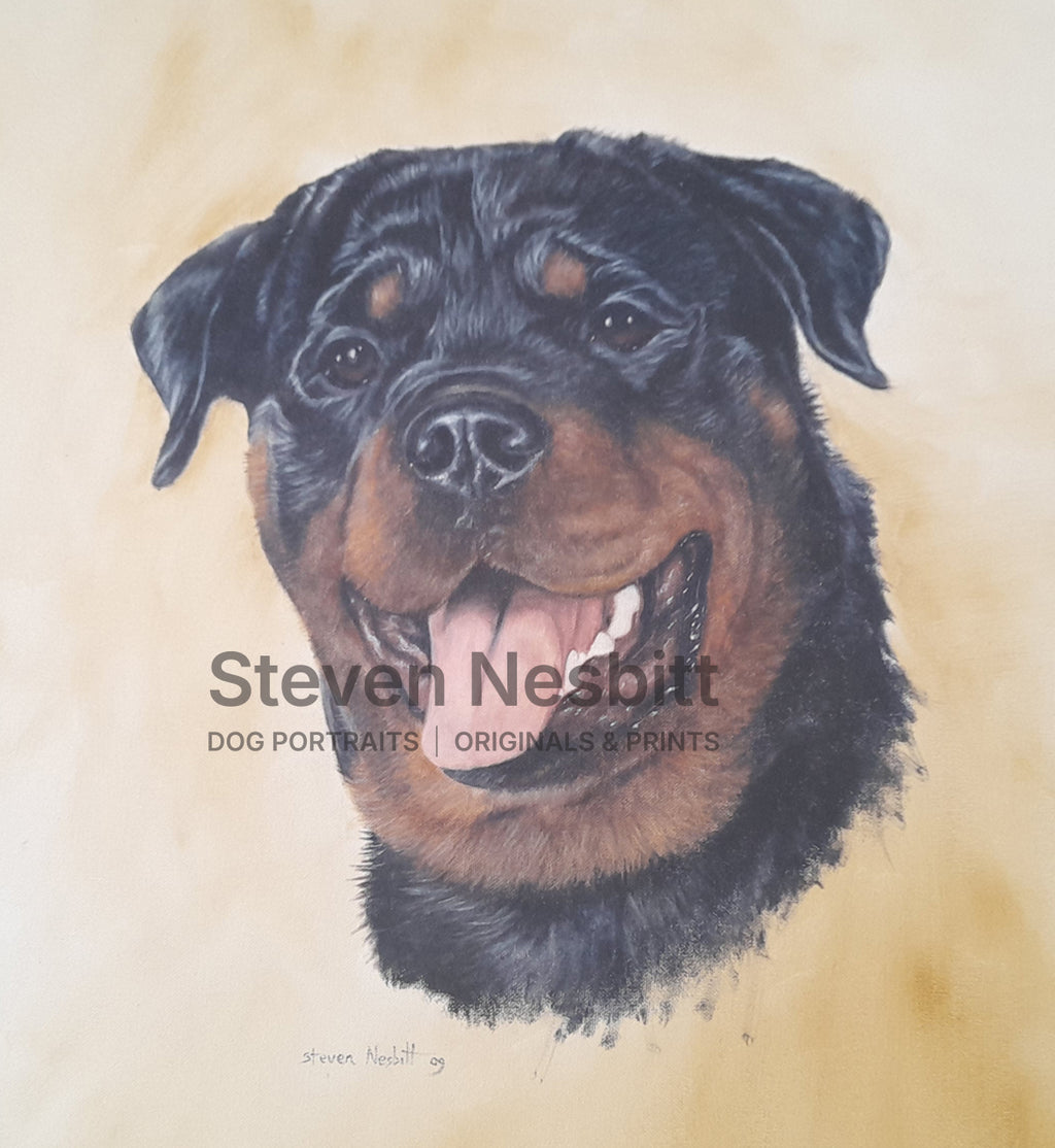 Rottweiler Head Original Painting