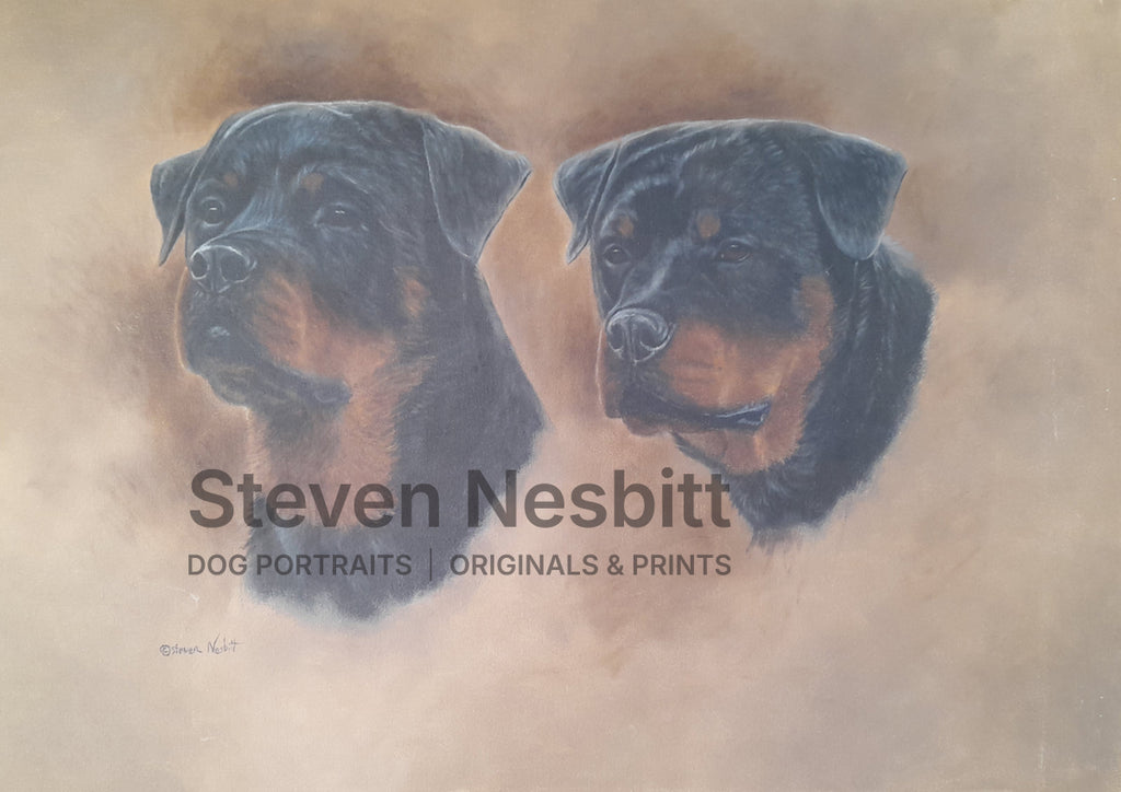 Rottweiler Pair Heads Original Painting