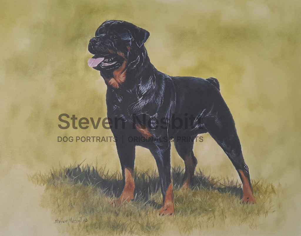 Rottweiler Study Original Painting