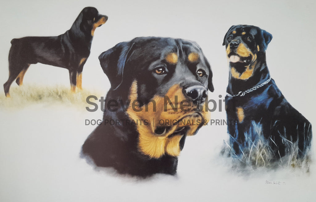 The Rottweiler Print
