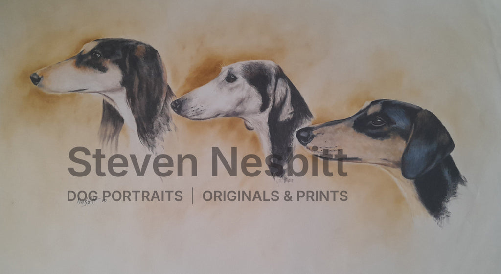 Saluki Triple Head Study Original Painting