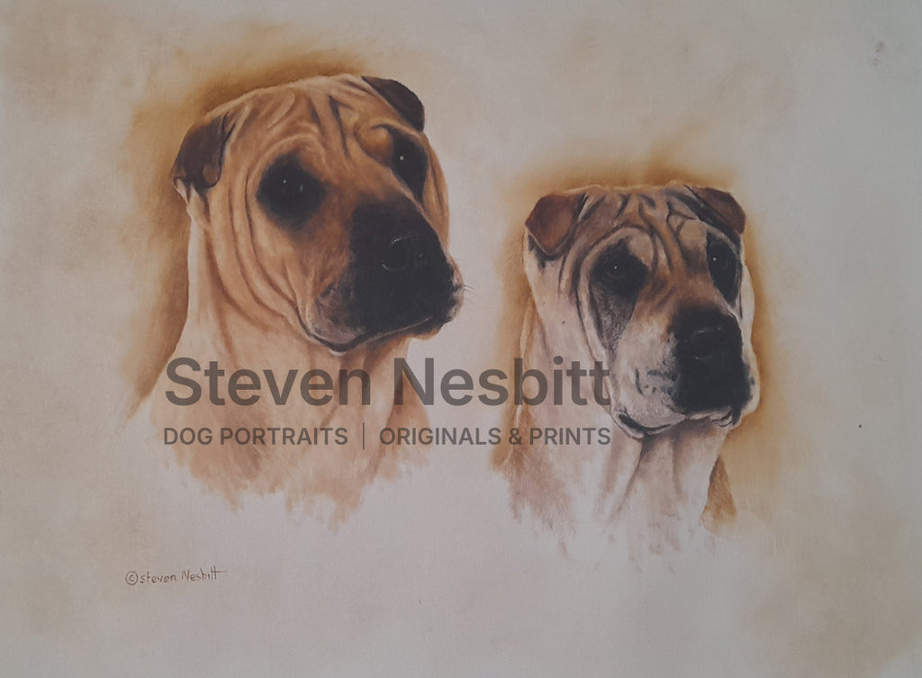 Double Study Original Painting