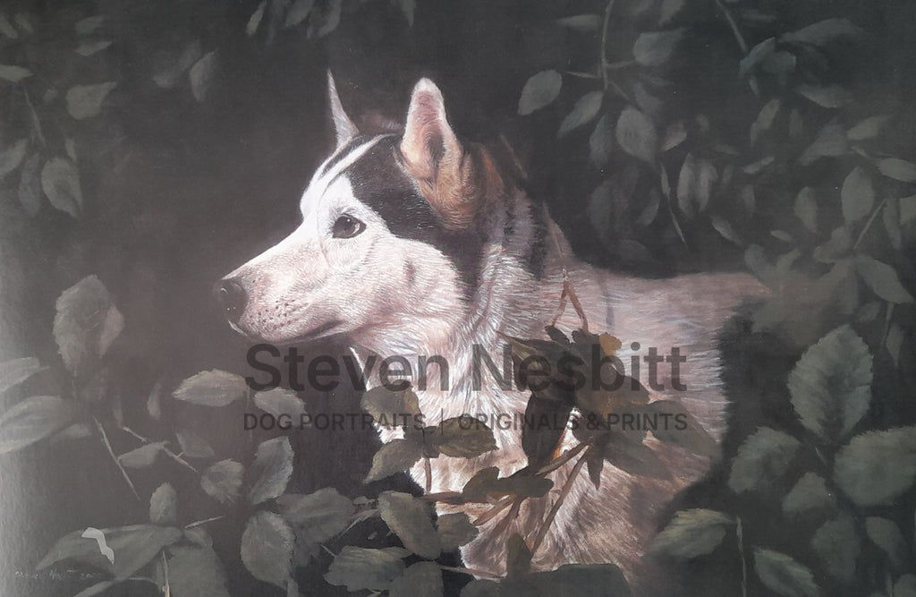 Out of the Shadows Print