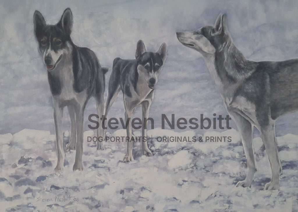 Huskies in Snow Original Painting