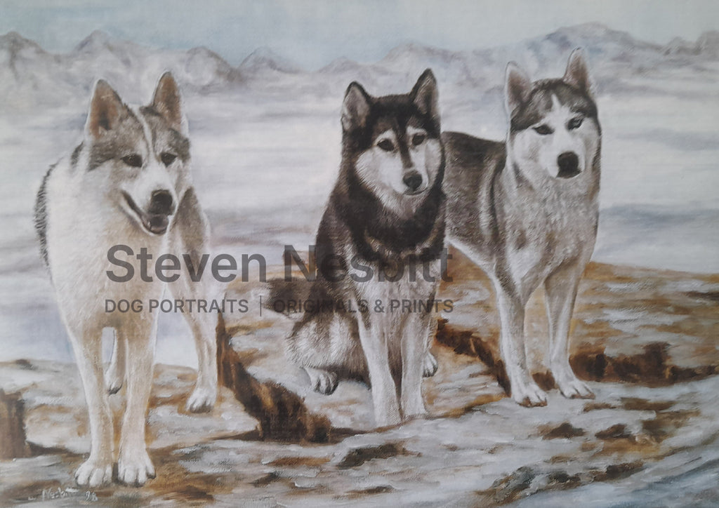 Snow & Ice Print