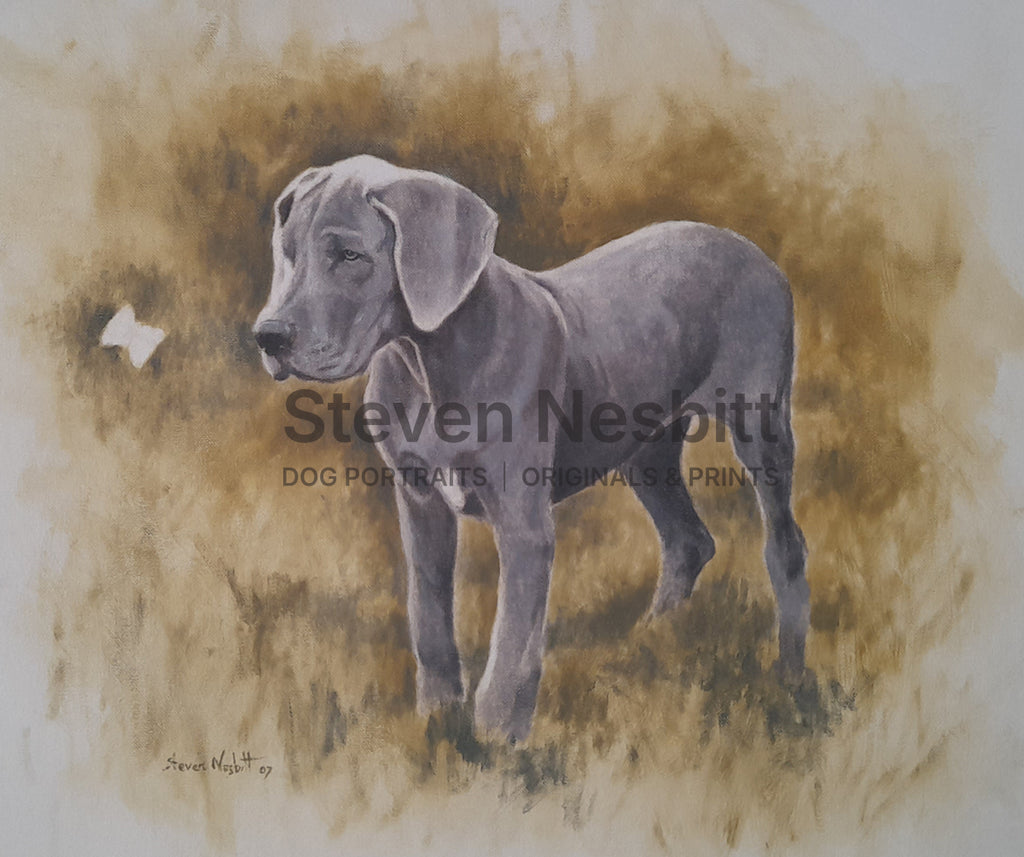 Young Weimaraner Original Painting