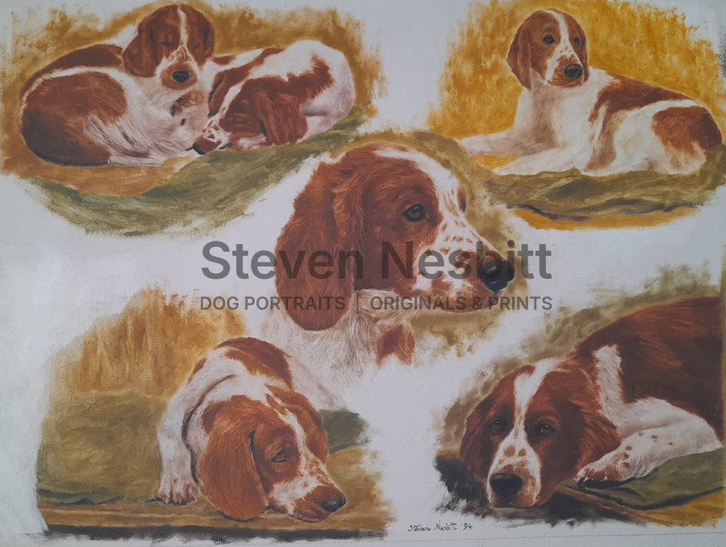 Waiting to Show Original Painting