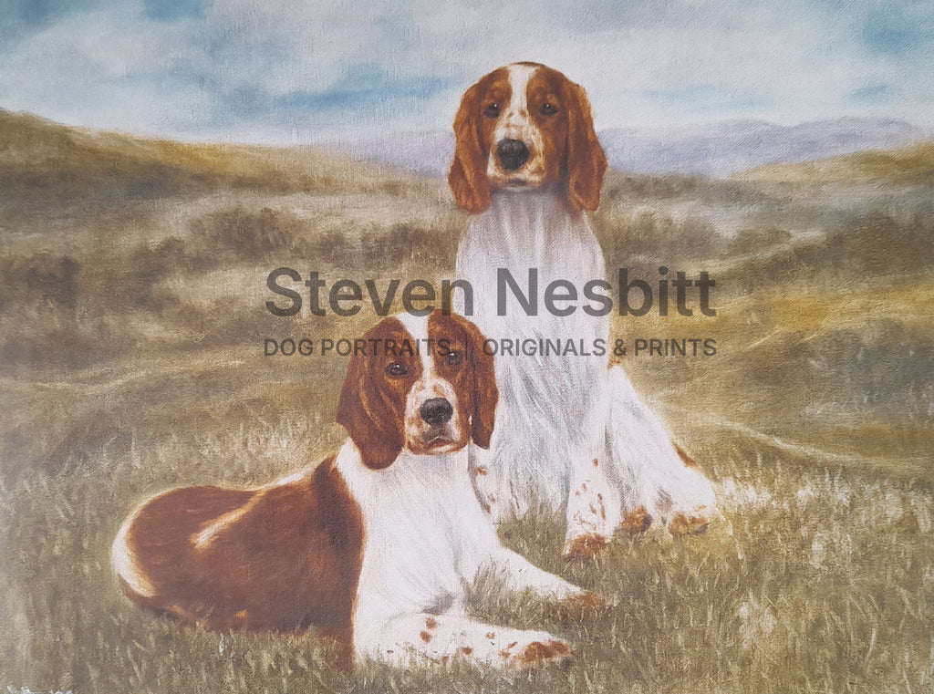 Welsh Springers – In the Country Print
