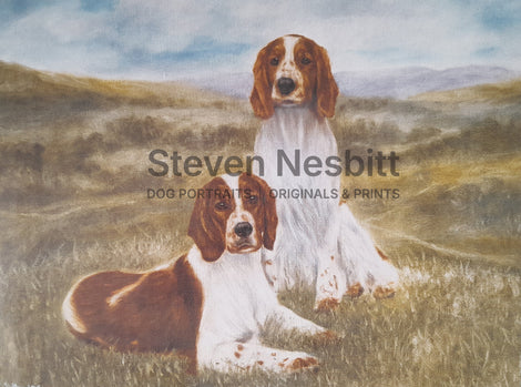 Welsh Springers – In the Country Print
