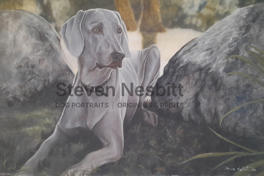 Seen Something? Original Painting